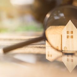 Zwei kleine Holzhäuser hinter Lupe